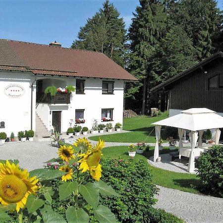 Ferienwohnung Hopfinger Hohenau Esterno foto