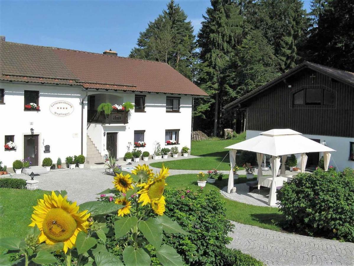 Ferienwohnung Hopfinger Hohenau Esterno foto